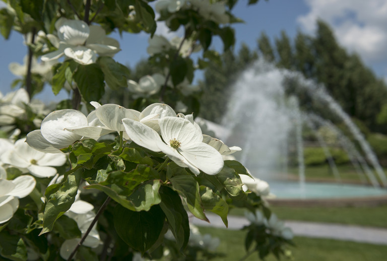 Arboretum-fountain